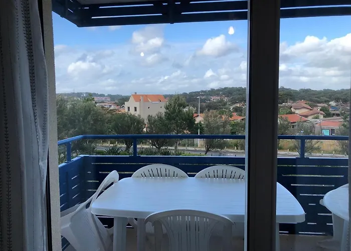 Climatise Avec Piscine & Bleu Marine